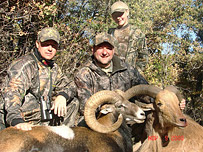 Exotic Game Hunts